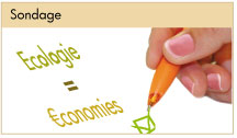 sondage