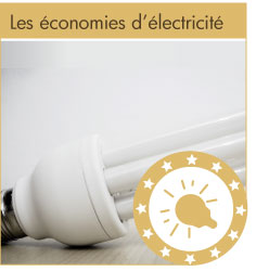 electricité economie
