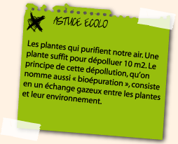 astuce écolo
