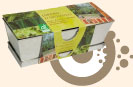 Jardinerie basilic bio