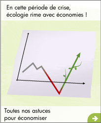 economiser