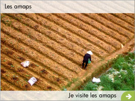 amps
