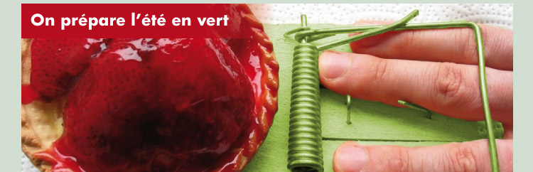 �t� vert