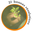 31 bonnes r�solutions