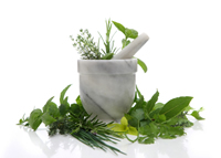 plantes - naturopathie - consoGlobe