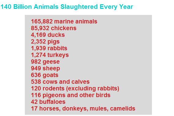 Les animaux tu&eacute;s pour &ecirc;tre mang&eacute;s