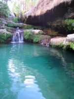 piscine naturelle et bio