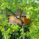 Cabane dans les arbres