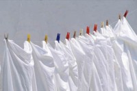 Les noix de lavage et le linge blanc