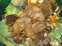 compost