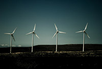 Developpement durable article