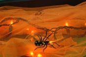 araignées halloween