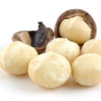 http://mktg.factosoft.com/consoglobe/image-upload/img/macadamia.jpg