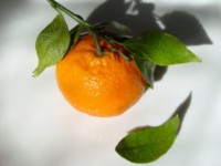 mandarine