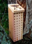 Nichoir abeilles