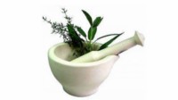 plantes soin