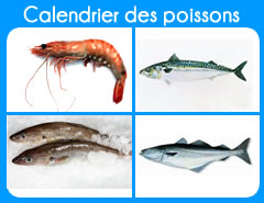 calendrier poisson