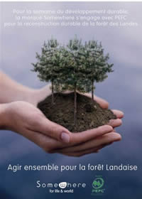 Developpement durable article