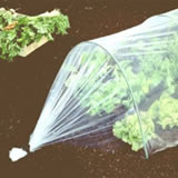 Developpement durable article