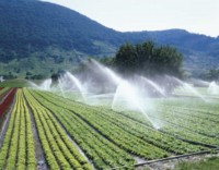 consommation d'eau par l'agriculture