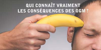 banane - OGM - consoGlobe