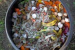 Déchets pour compost